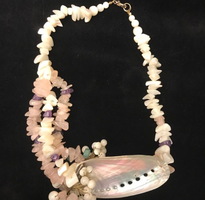 Seashells from the seashore